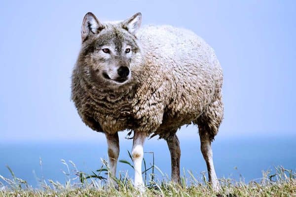 Beware of False Prophets